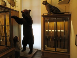 yams_Musée-Chasse-23y_1601